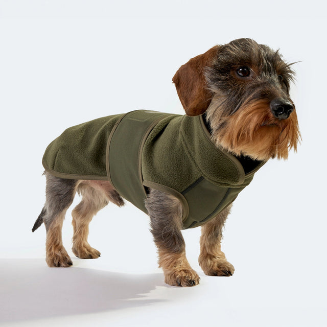 Manteau pour chien en polaire couleur olive portée par un teckel
