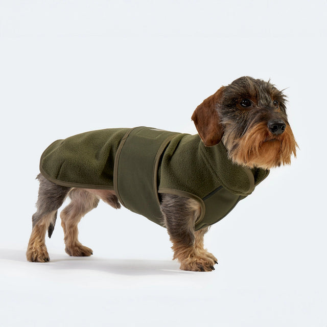 Manteau pour chien en polaire couleur olive portée par un teckel
