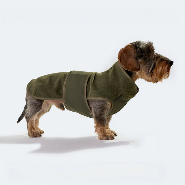 Manteau pour chien en polaire couleur olive porté par un teck sur fond neutre