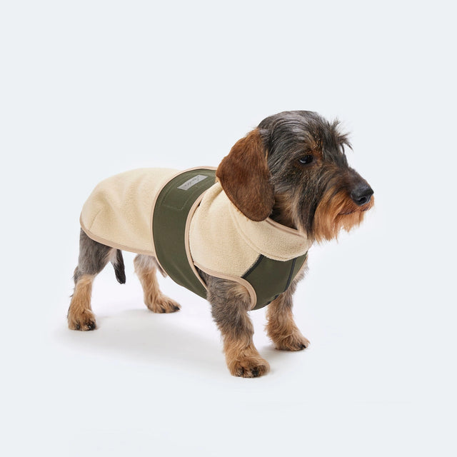 Manteau pour chien en polaire et softshell porté par un teckel de côté regardant à droite