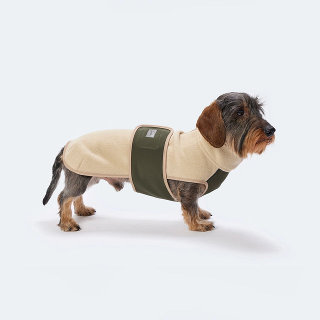 Manteau pour chien en polaire et softshell porté par un teckel de côté