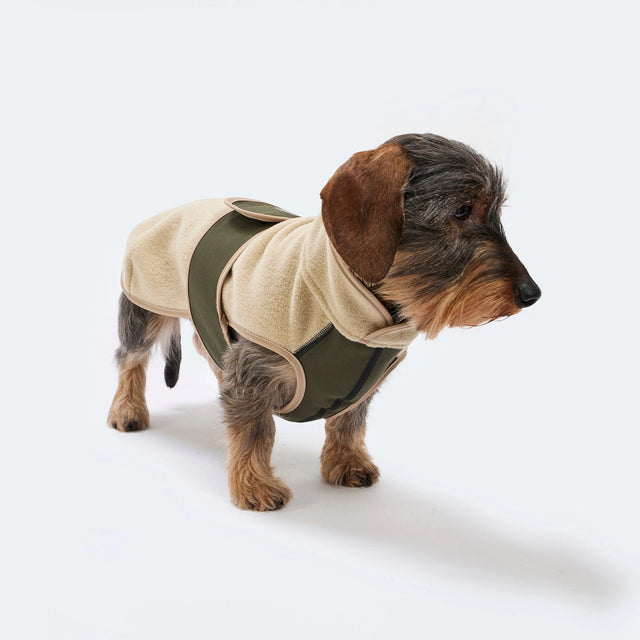 Manteau pour chien en polaire et softshell porté par un teckel