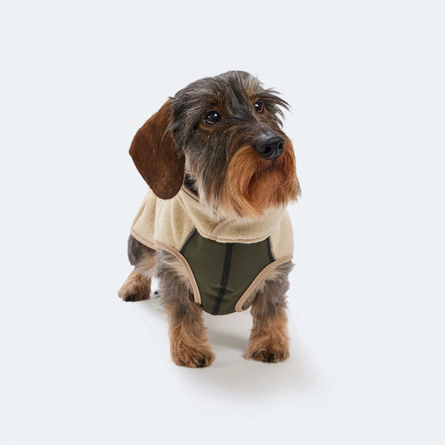 Manteau pour chien en polaire et softshell porté par un teckel