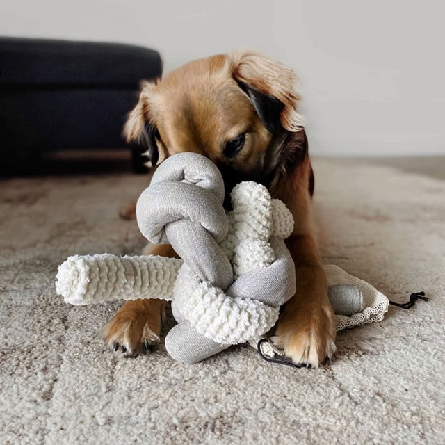 Mise en situation du jouet d'occupation avec un chien