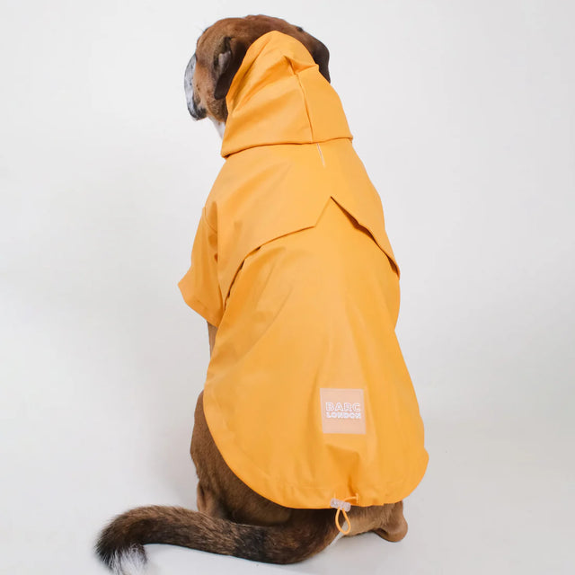 Imperméable orange porté par un chien vu de dos