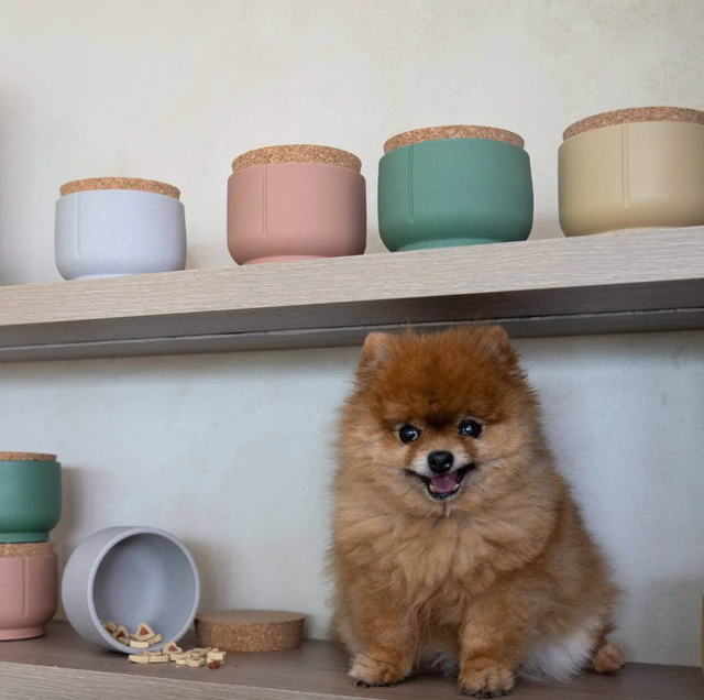 Le Pot à friandises