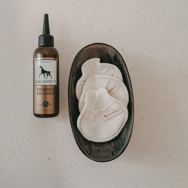 soins pour oreilles des chiens