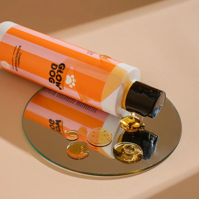 Présentation de l'huile moussante de shampoing pour chien