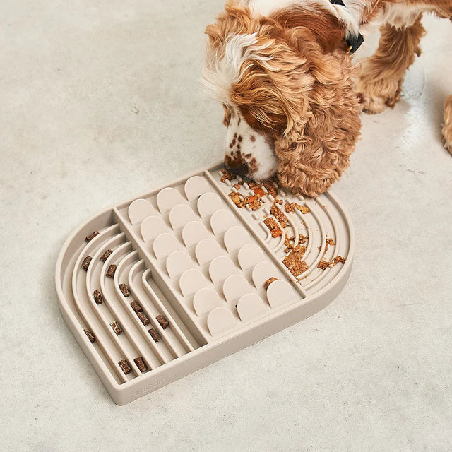 tapis de léchage pour chien démonstration