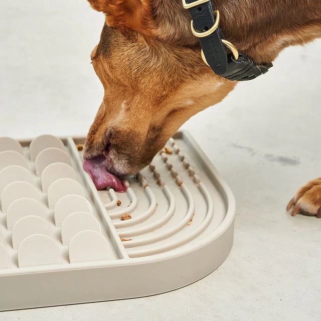 tapis de léchage pour chien utilisation