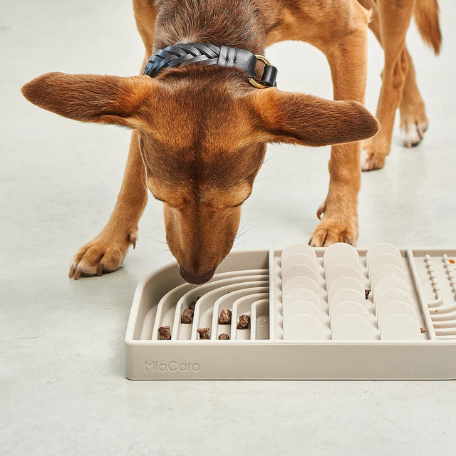 tapis de léchage pour chien démonstration
