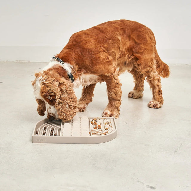 Tapis léchage design pour chien face