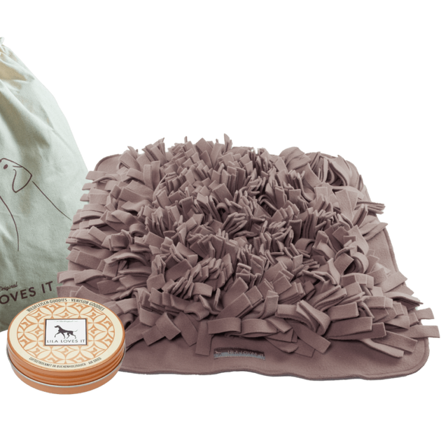 tapis de reniflage pour chien