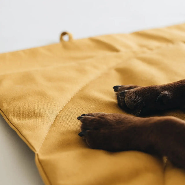 Pattes de chien posées sur le tapis de voyage moutarde