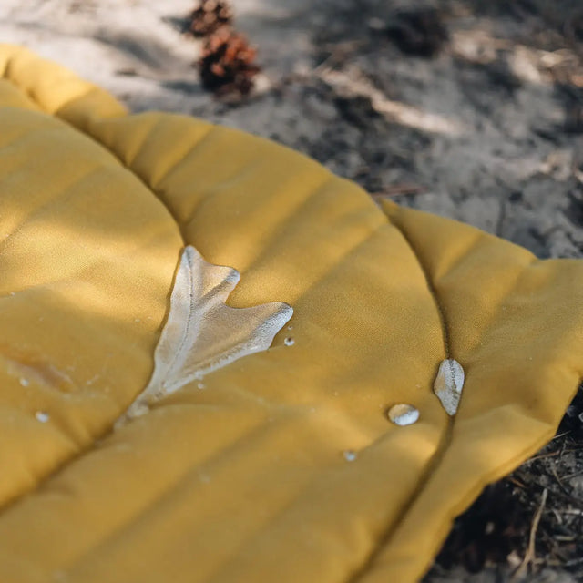 Tapis de voyage pour chien avec eau dessus