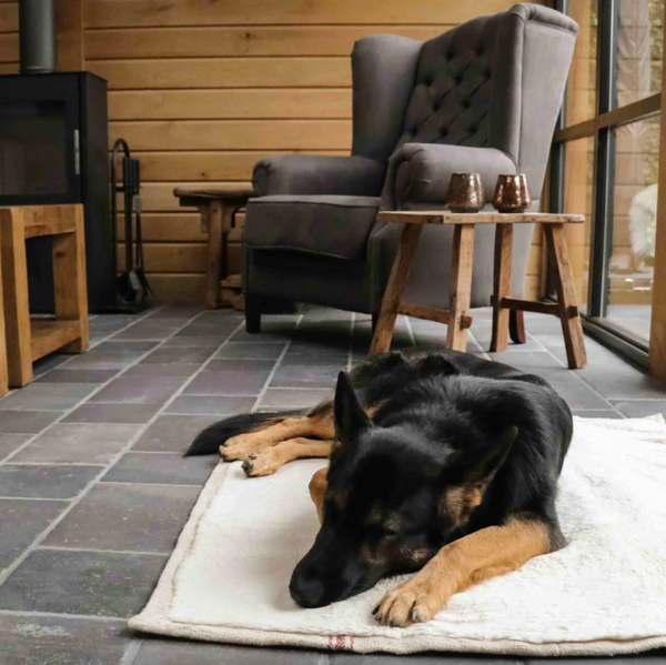 Le Tapis de voyage - Édition Le Baroudeur