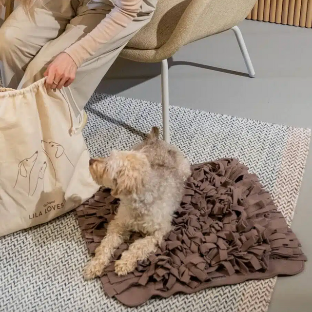 tapis de fouille pour chiens